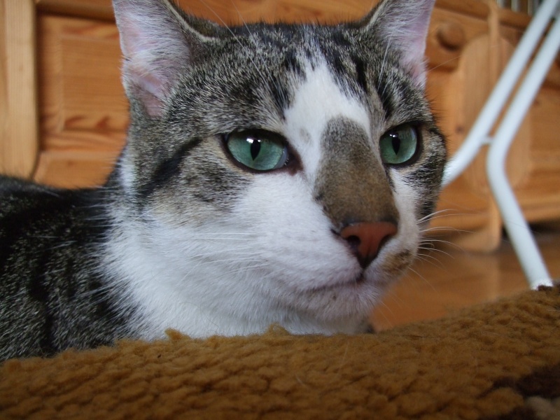 Ostern 2007 Orleshausen 150 